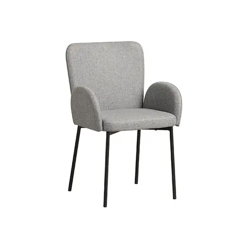 Armchairs With Metal Legs--FYC418