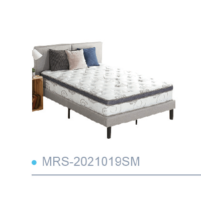 MRS-2021019SM