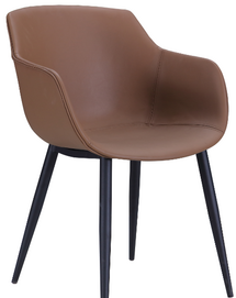 DINING CHAIR DC-221
