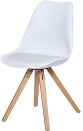 DINING CHAIR DC-355