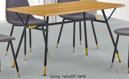 DINING TABLE DT-1919