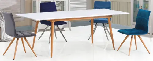 DINING TABLE DT-1706