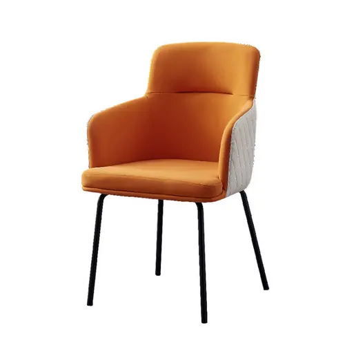 Nordic new design light luxury modern indoor dining chair
