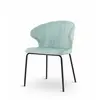 ESOU Shell Shape Back Velvet Dining Chair with Metal Leg DC-2094