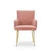 ESOU Pink Velvet Dining Chair with Golden Powder Coated Legs DC-2162