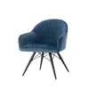ESOU Velvet Dining Chair with Black Powder Coated Legs DC-2101