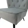 ESOU Velvet Leisure Chair with Matt Black Powder Coated Legs DC-2049-1