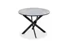 ESOU MDF Dining Table with Stainless Steel Legs DT-9875G