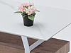Sintered Stone Coffee Table QJ-364-CT (M)