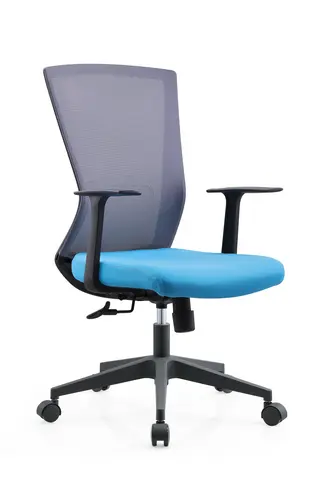 Popular office chair S21-301