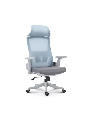 Popular office chair S21-306H