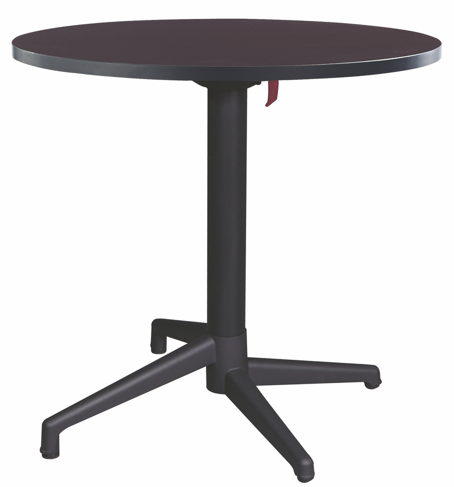 Folding Table  ABS Folding Table C77