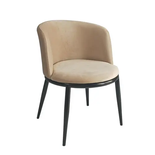 Dining Chair DC159