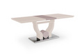 ESOU MDF Dining Table with Stainless Steel Bottom Plate DT-9097