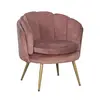SF-209 Single leisure chair