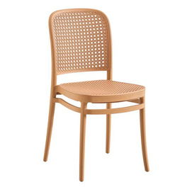 Wicker /Rattan dining chair