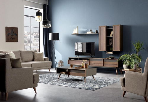 Flemens TV unit