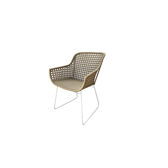 SPERONE Dining armchair