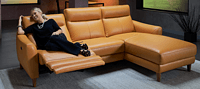 Retro style multifunctional multi person sofa