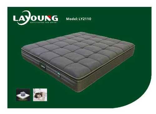 LY2110