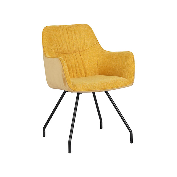 Accent Chair Living Room--FYC442