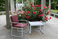 Cruiser lounge table and chair