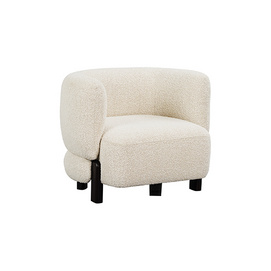 Comfortable Living Room Chairs--FYF003