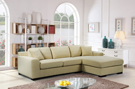L-shaped Sectional sofa