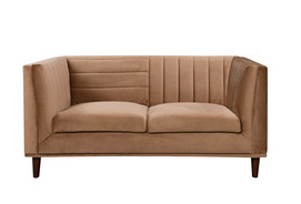 Modern 2-Seat Soft Sofa