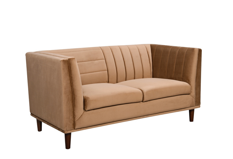 Modern 2-Seat Soft Sofa