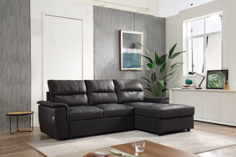 Leather Sectional Sofa Bed Cum With Storage