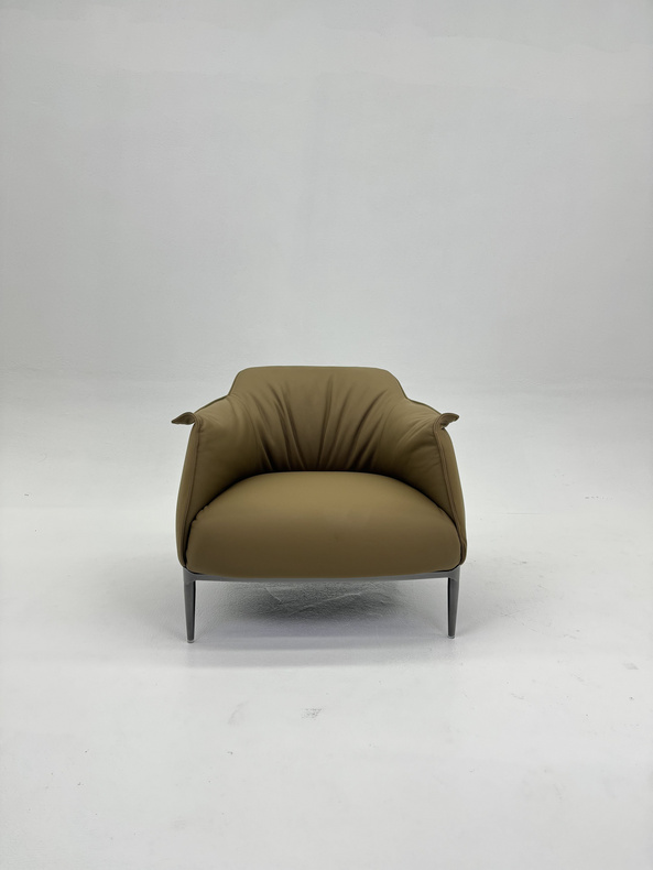 Leisure Chair