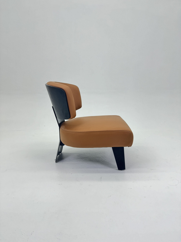 Leisure Chair