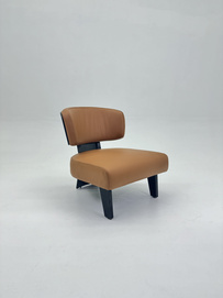 Leisure Chair