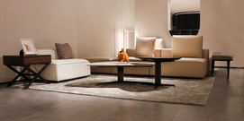 sofa and coffee table (Furniture2024)