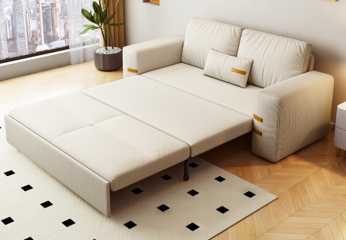 sofa bed (Furniture2024)