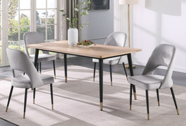 table and chair set (Furniture2024)