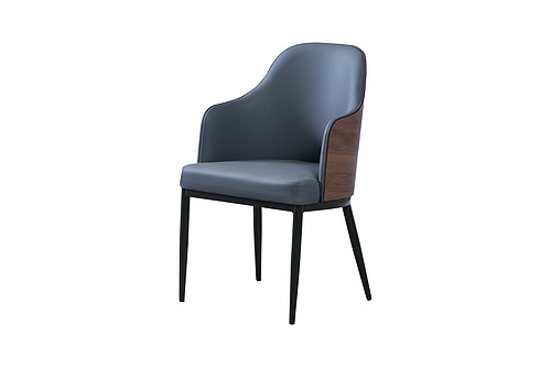 Modern Fashion Comfortable Curved Dining Chair E-192