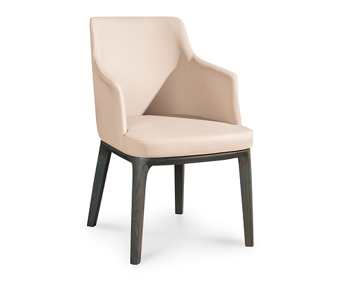 Y621 dinning chair