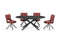 dinning table and chair set (Furniture2025)