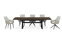 dinning table and chair set (Furniture2025)