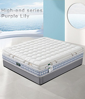 High-end series Purple Lily (Furniture2025)