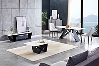 table and chair set (Furniture2025)