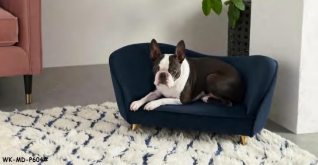 pet sofa (Furniture2025)