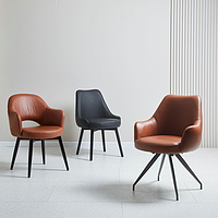 dinning chair (Furniutre2025)