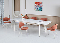 dinning table and chair (Furniture2025)