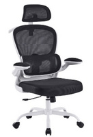 chair DA-251 (Furniture2025)