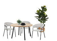 dinning table and chair (Furniture2025)