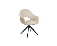 dinning chair (Furniture2025)