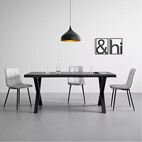 dinning table and chair (Furniture2025)
